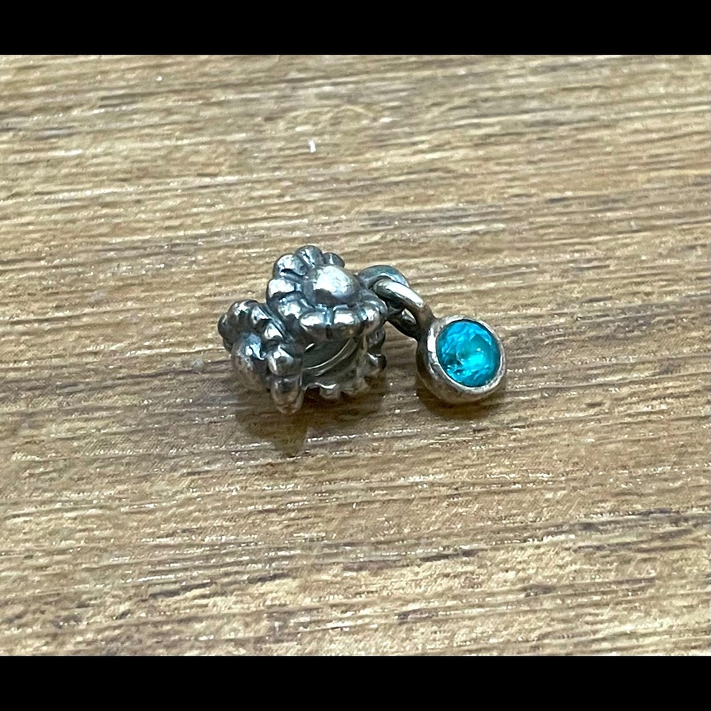 Retired Pandora Charm